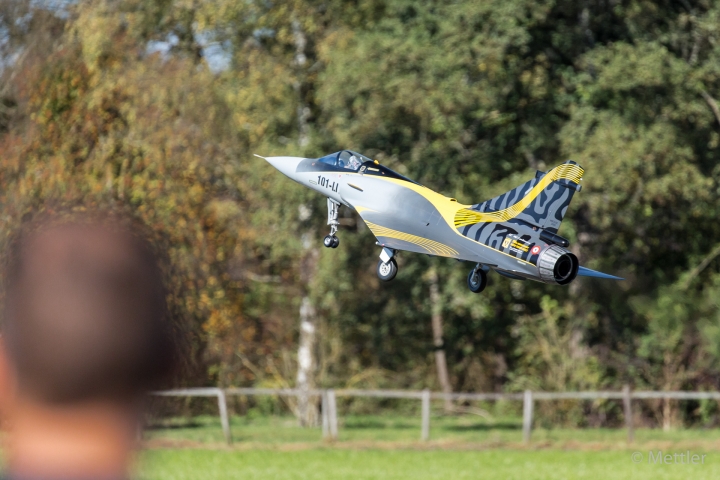 Flugtag_Hausen_2017-0811-39.jpg