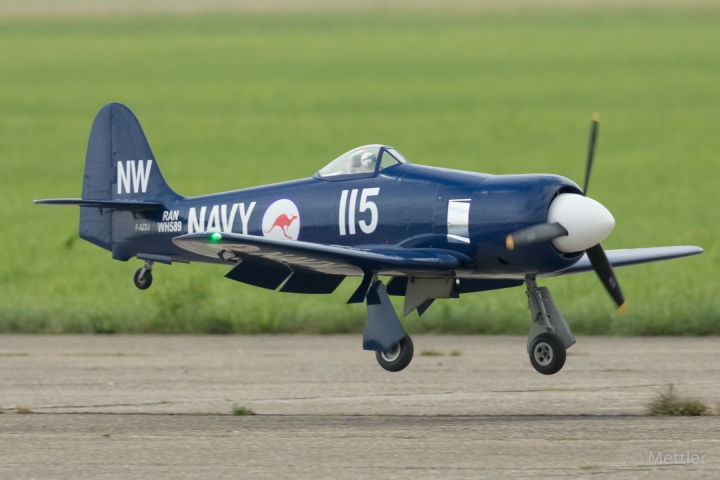 Warbird_2019-EOS59085-32_.jpg