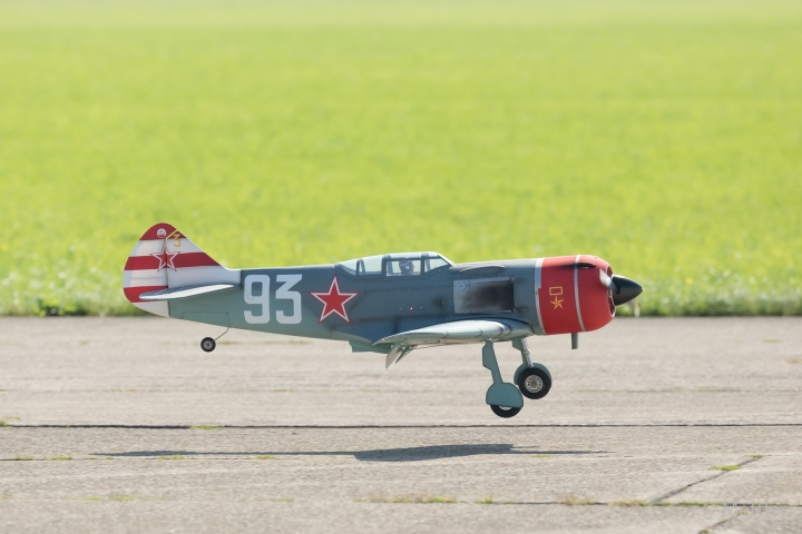 Warbird_2019-EOS59334-161_.jpg