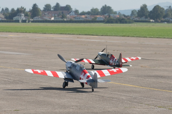 Warbird_2019-EOS59340-164_.jpg