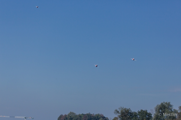 Flugtag_Hausen_2015-AK3A537241-41.jpg