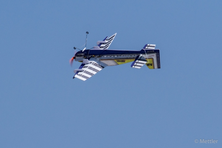 Young_Silent_Wings-IMG_2523-82.jpg