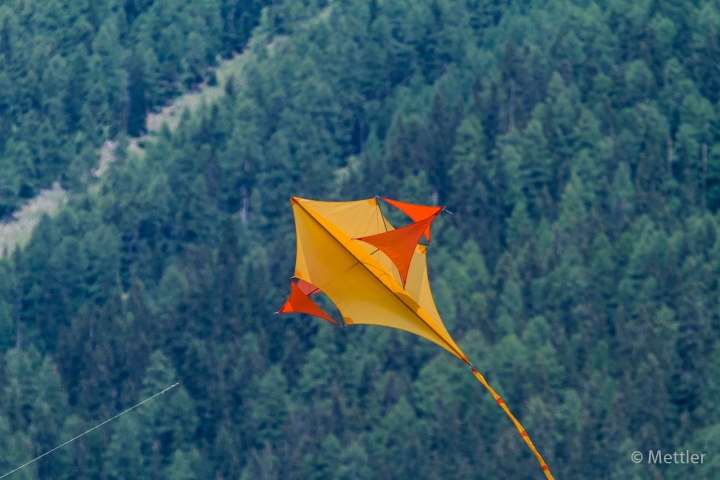 Modellflug_2012_IMG_5667-2.jpg