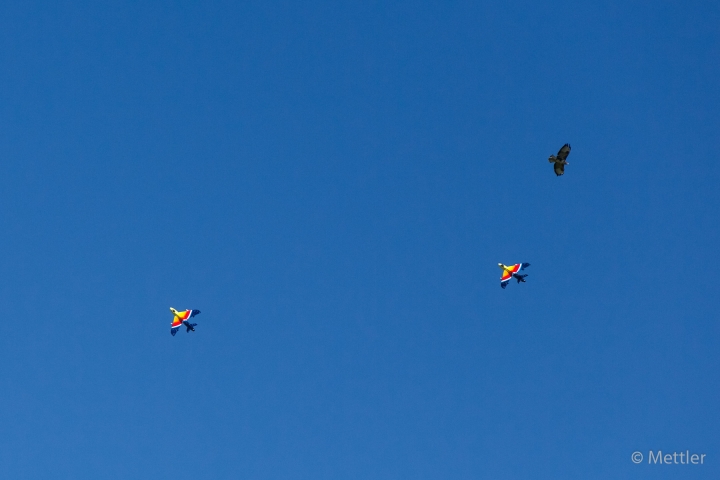 Modellflug_2013-AK3A1526-08.jpg