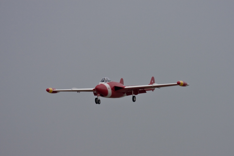 Modellflug-Duebi-2010-IMG_7995-18.jpg