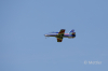JETS_Duebi_Juni_2025_EOS57796_16.jpg
