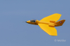 JETS_Duebi_Juni_2025_EOS57975_43.jpg