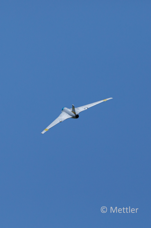 JETS_Duebi_Juni_2025_EOS58076_7.jpg