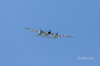 JETS_Duebi_Juni_2025_EOS58133_36.jpg