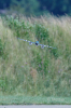 Dateiname=JETS_Duebi_Juni_2025_EOS58148_46.jpg
Dateigröße=1150KB
Abmessungen: 1440x2160
hinzugefügt am: 23. Juni 2025 JETS_Duebi_Juni_2025_EOS58148_46.jpg