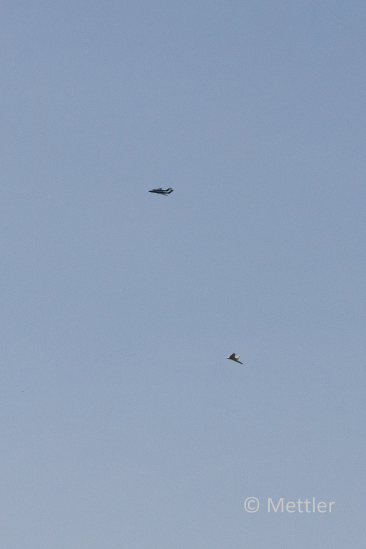 JETS_Duebi_Juni_2025_PI1_0596_5.jpg
