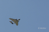Dateiname=JETS_Duebi_Juni_2025_PI1_0592_3.jpg
Dateigröße=1378KB
Abmessungen: 3238x2160
hinzugefügt am: 23. Juni 2025 JETS_Duebi_Juni_2025_PI1_0592_3.jpg