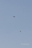Dateiname=JETS_Duebi_Juni_2025_PI1_0596_5.jpg
Dateigröße=1378KB
Abmessungen: 1441x2160
hinzugefügt am: 23. Juni 2025 JETS_Duebi_Juni_2025_PI1_0596_5.jpg