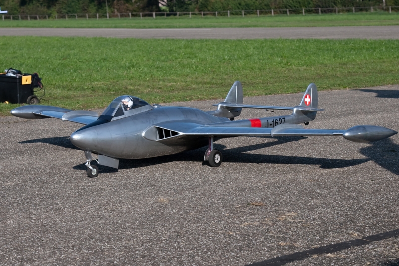 Flugtag_Hausen_3_Okt_09_--6389.jpg