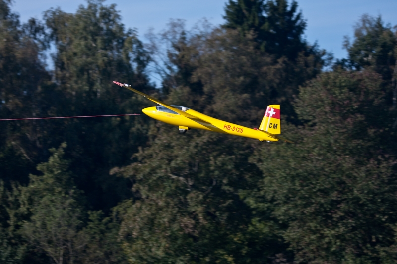 IMG_5331-44.jpg
