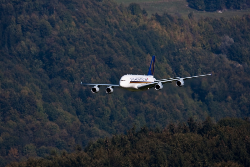 Flugtag_Hausen_3_Okt_09_--5196.jpg