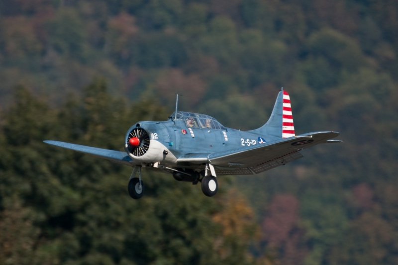 Flugtag_Hausen_3_Okt_09_--5267.jpg