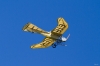Modellflug-Hausen-2010-4242-64.jpg