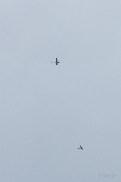 Hausen_2013_Sonntags-AK3A8845-41.jpg