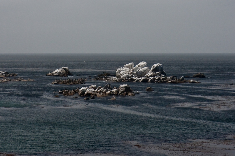 USA-_California-_Tag_1-5586.jpg