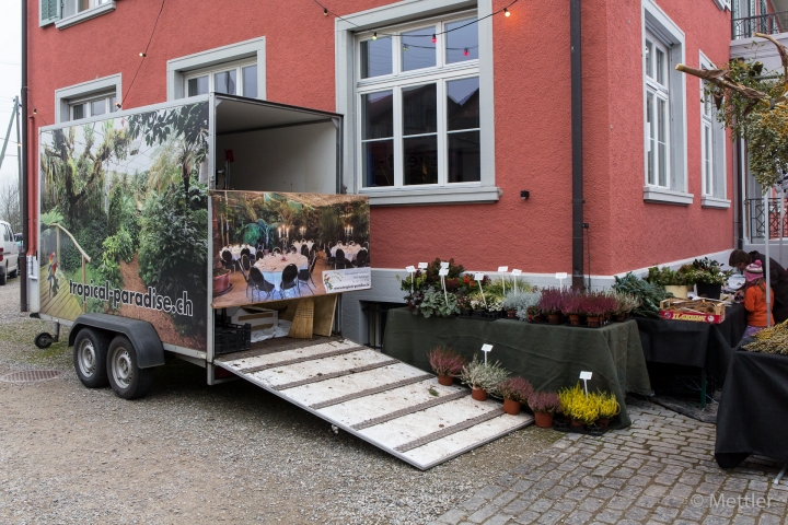 Dorfmaert_2014_Thalheim-AK3A9462-Bild_15.jpg
