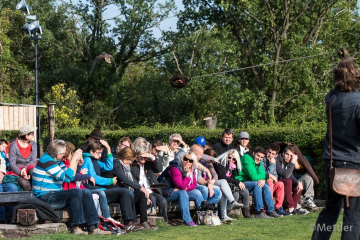 Reise_Oesterreich_Polen_Sept_2012-7248-31.jpg