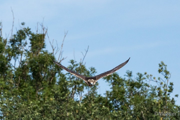 Reise_Oesterreich_Polen_Sept_2012-7271-40.jpg